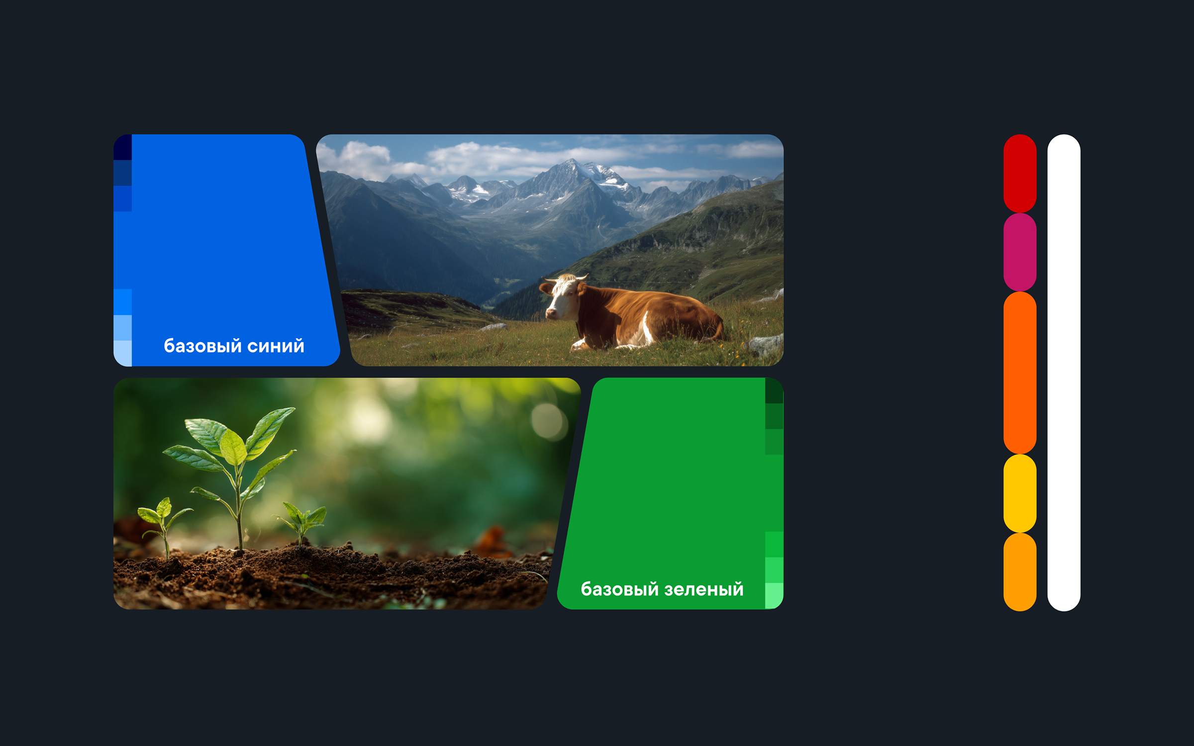 Health&Nutrition — изображение 1
